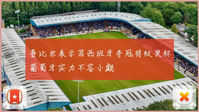 普比尔表示若西班牙夺冠将纹奖杯葡萄牙实力不容小觑